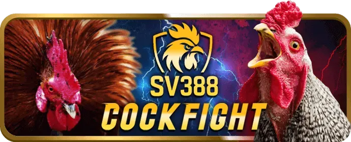 Tỷ lệ kèo cạnh tranh và thị trường cá cược phong phú tại king88vina win